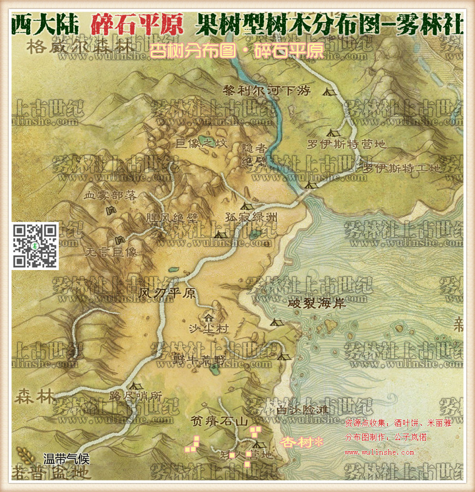 碎石平原杏树