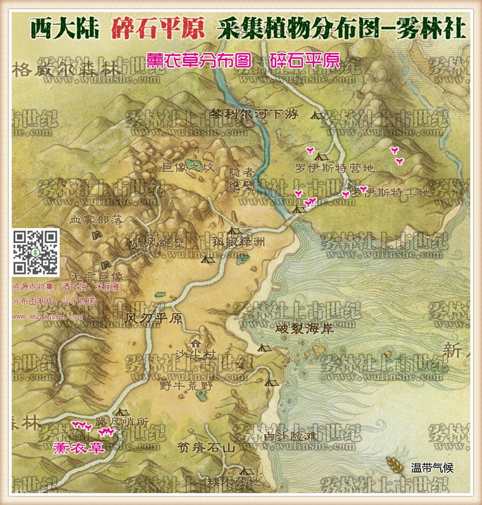 西大陆碎石平原薰衣草