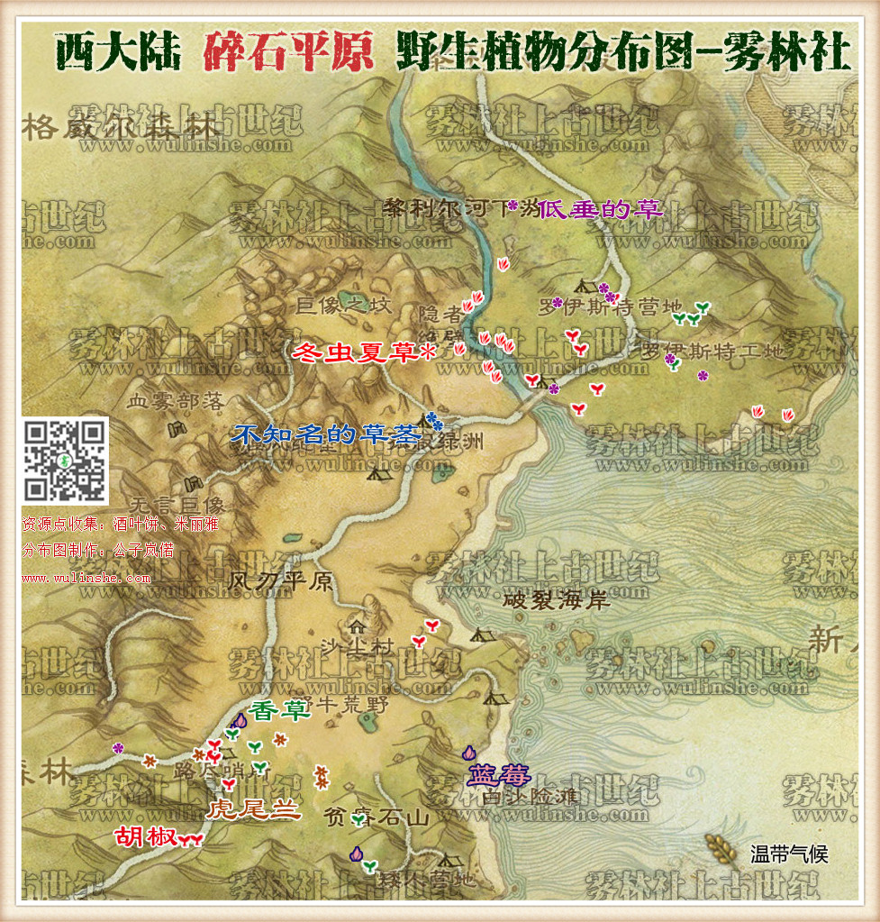 西大陆碎石平原野生植物综合