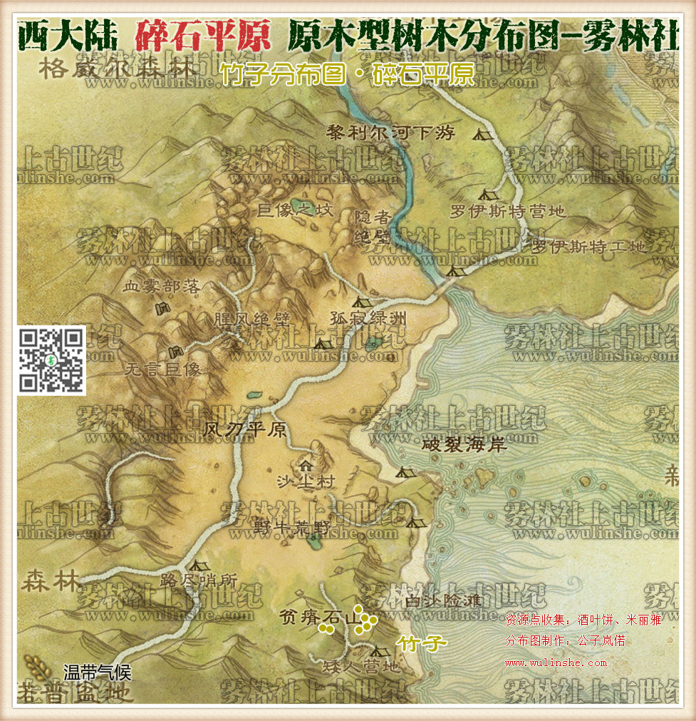 碎石平原竹子