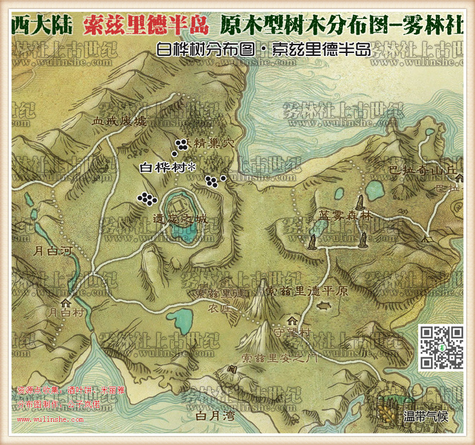 索兹里德半岛白桦树