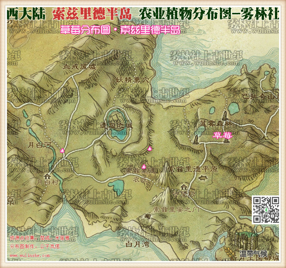 西大陆索兹里德半岛草莓