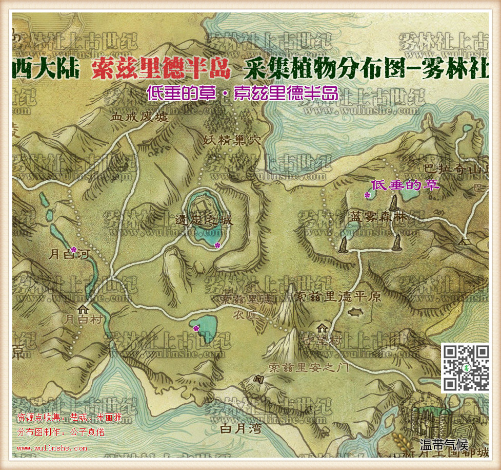 西大陆索兹里德半岛低垂的草