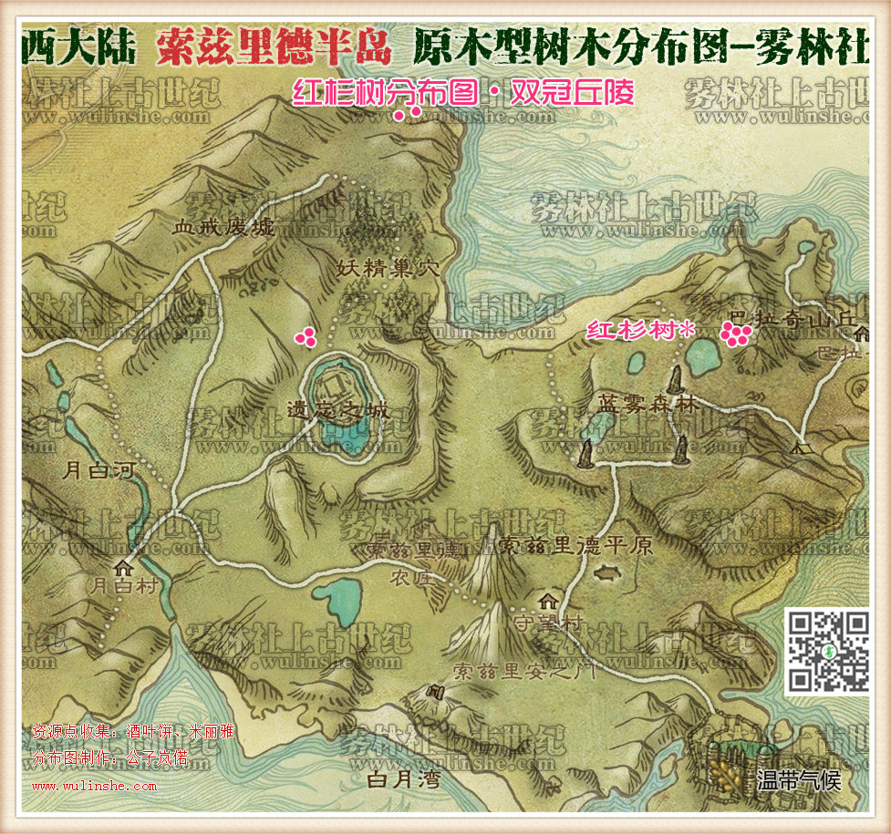 索兹里德半岛红杉树