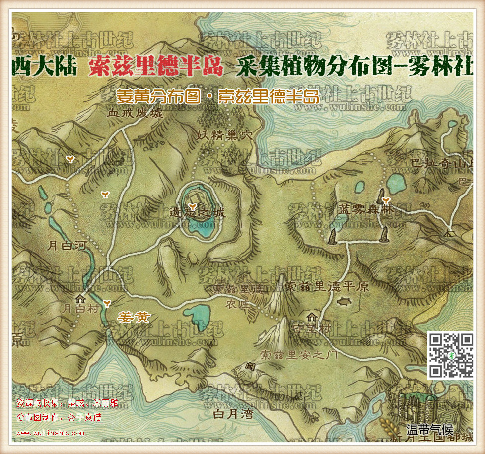 西大陆索兹里德半岛姜黄