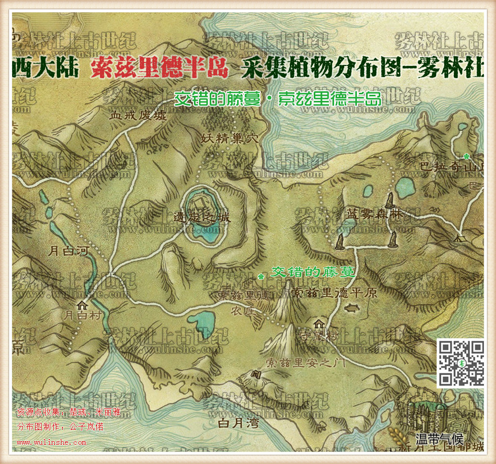 西大陆索兹里德半岛交错的藤蔓