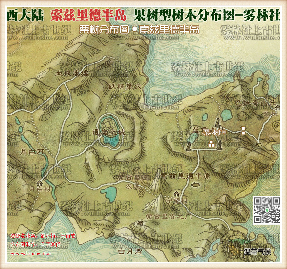 索兹里德半岛栗树