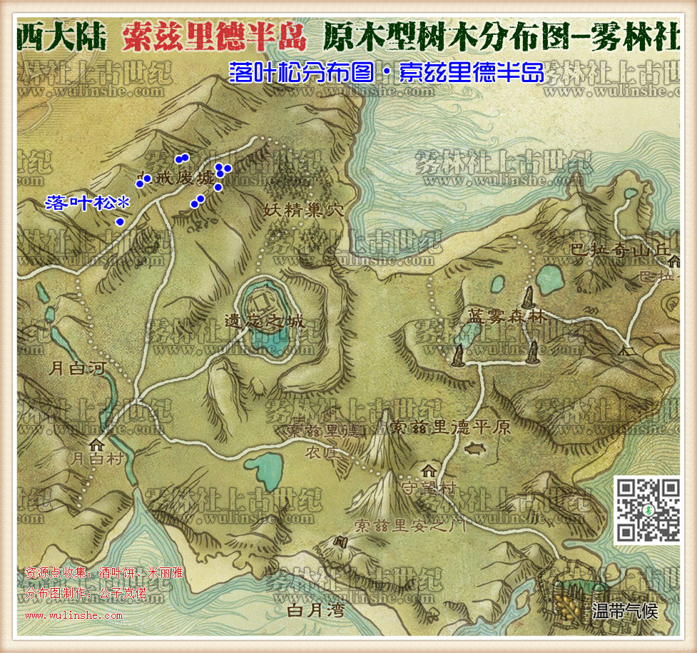 索兹里德半岛落叶松