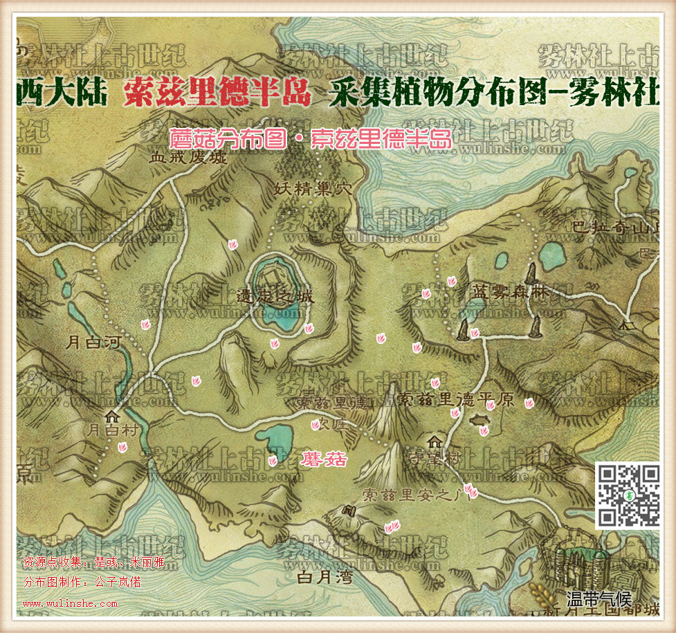西大陆索兹里德半岛蘑菇