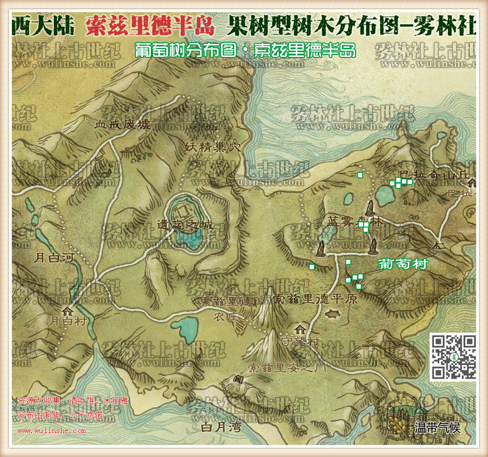 西大陆索兹里德半岛葡萄树