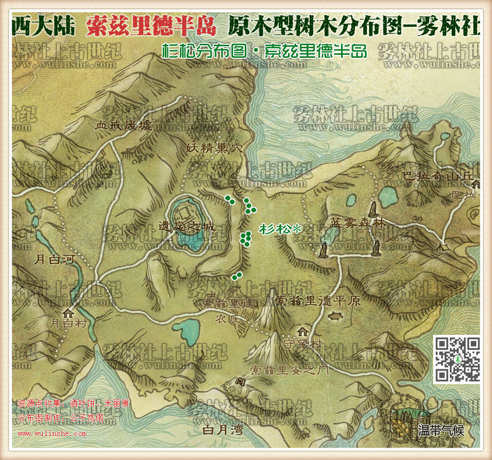 索兹里德半岛杉松