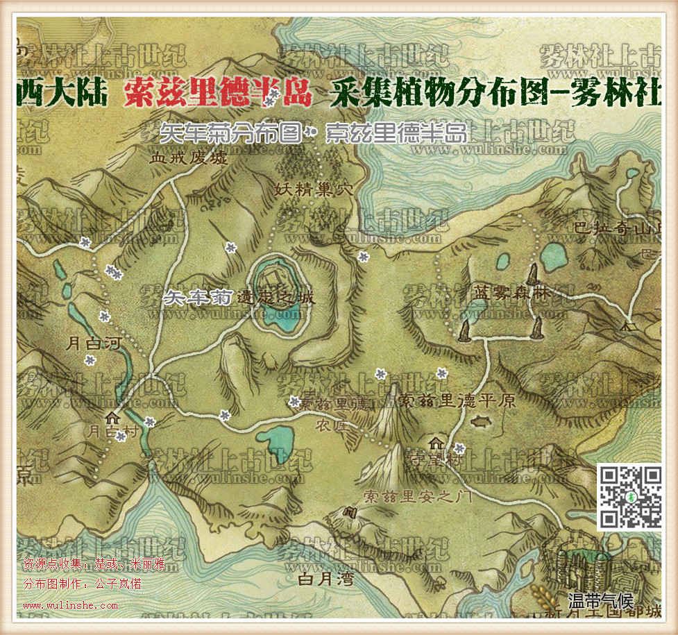 西大陆索兹里德半岛矢车菊