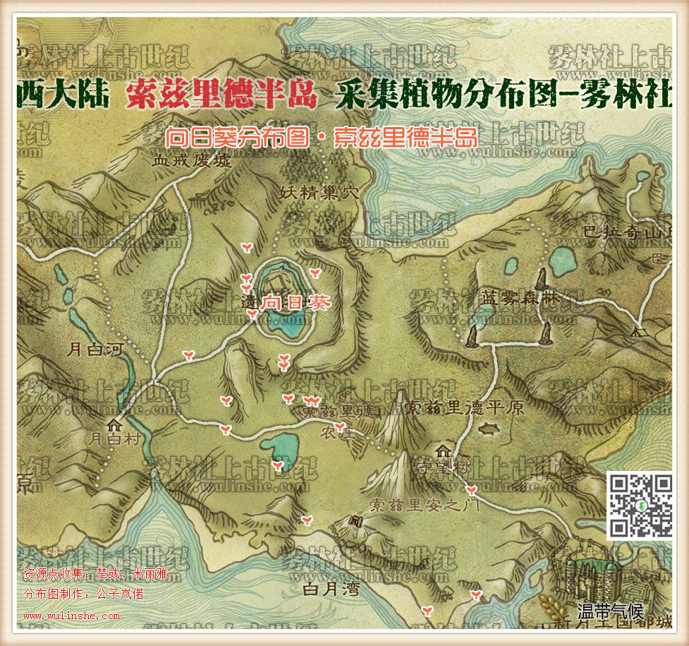 西大陆索兹里德半岛向日葵
