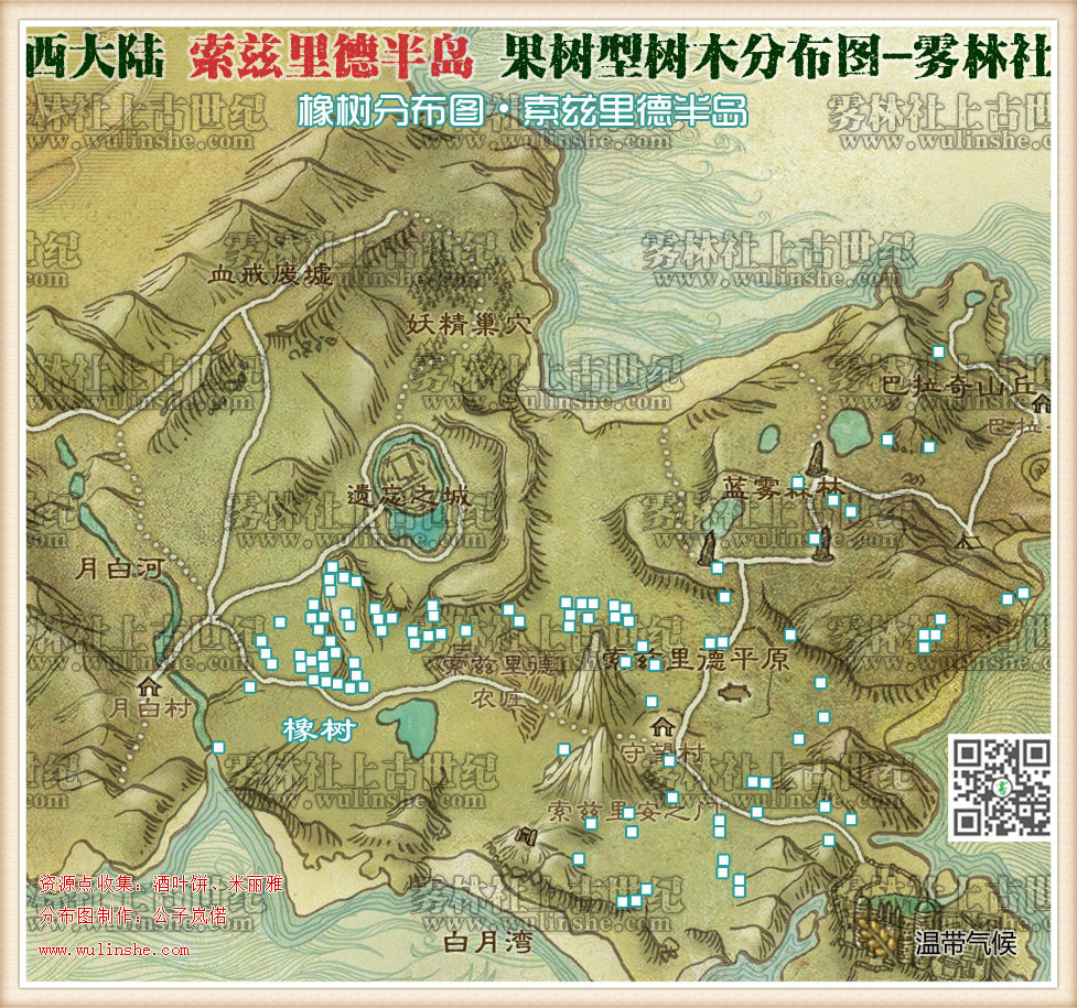 索兹里德半岛橡树