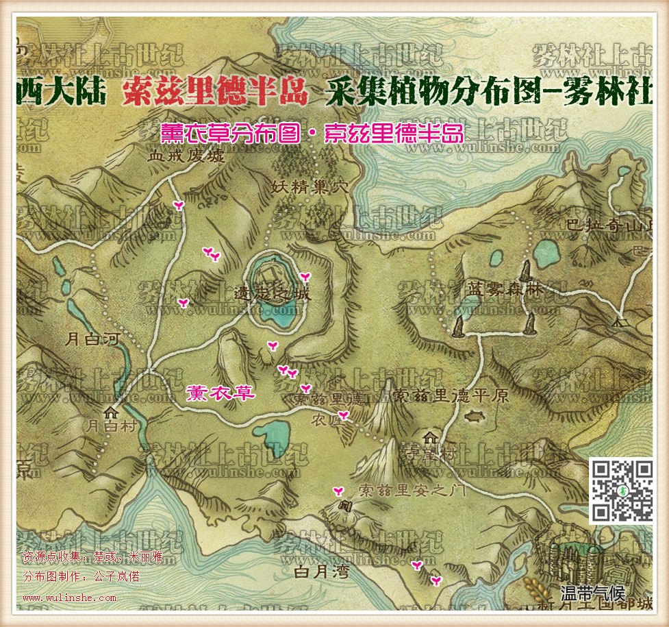 西大陆索兹里德半岛薰衣草