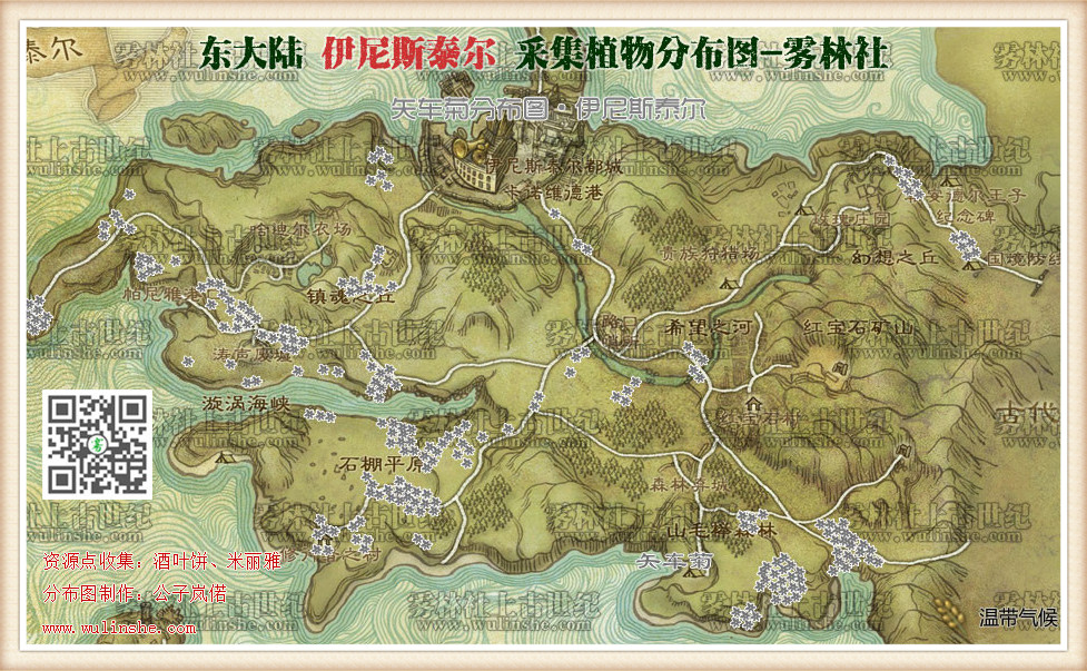 东大陆伊尼斯泰尔矢车菊